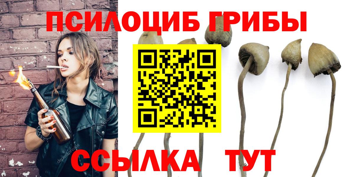 Электросталь  Галлюциногенные грибы ЛСД  закладки  Вход с VPN 